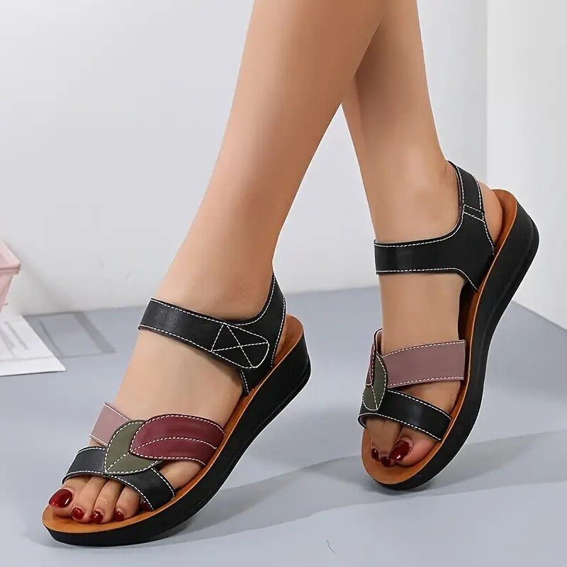 Mastershop Product Image
